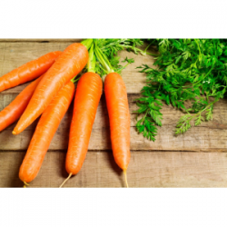 Macérat local de carottes du jardin