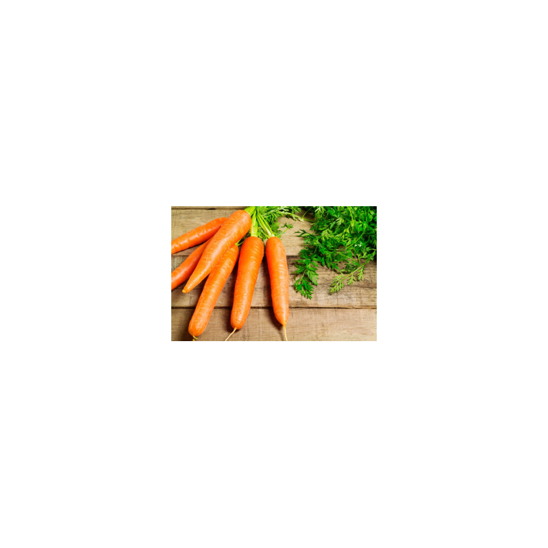 Macérat huileux de carottes/Argan