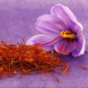 Macérat huileux de fleurs de safran