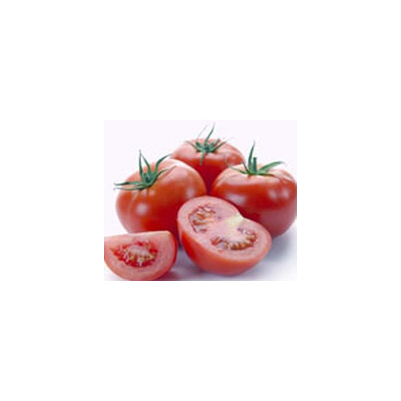 Extrait concentré de tomates du jardin feuilles et fruits