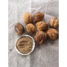 Poudre exfoliante de coques de noix du jardin