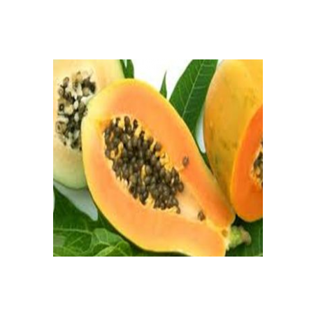 Extrait concentré de papaye